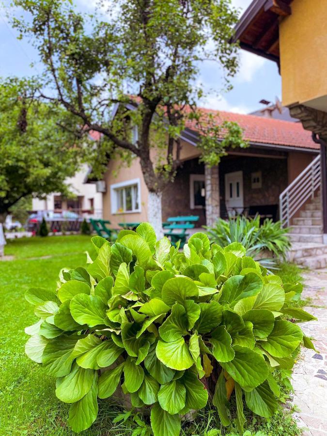 Appartement Adella à Sarajevo Extérieur photo